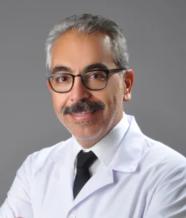 Prof. Dr. Alper AKCAN