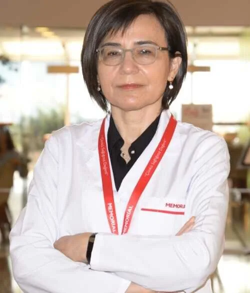 Prof. Dr. Şemsi YILDIZ