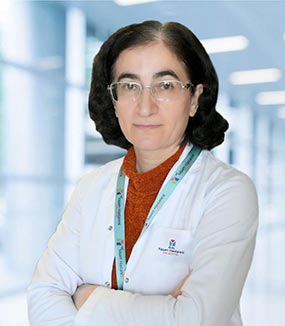 Doç. Dr. Vicdan KÖKSALDI MOTOR