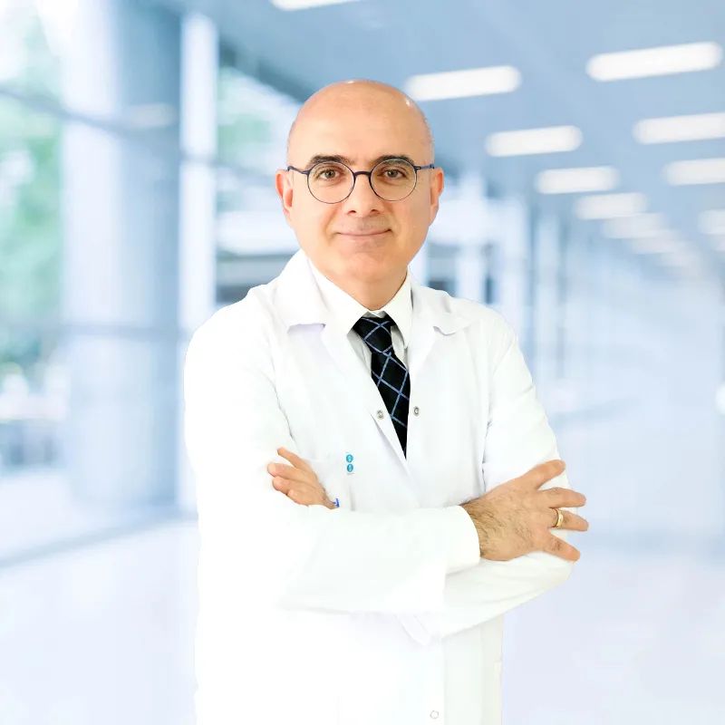 Prof. Dr. Hüseyin SİNAN