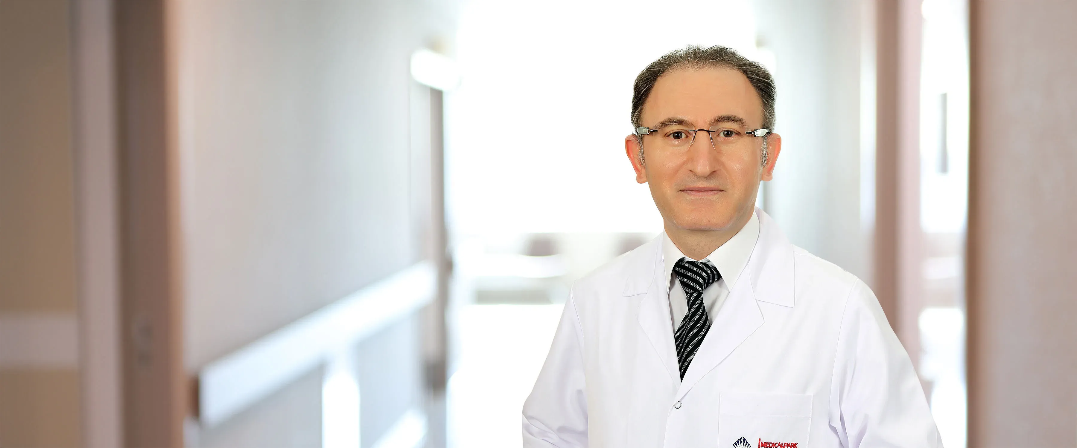 Prof. Dr. Namık Özmen