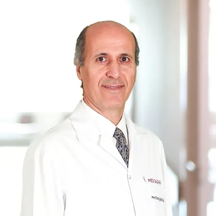 Prof. Dr. Ali Şengül