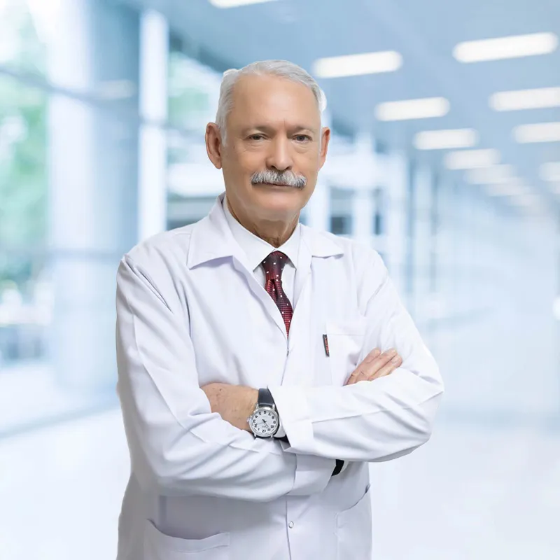 Prof. Dr. Mehmet YILDIZ