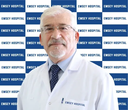 Prof. Dr. Levent DEMİRTÜRK