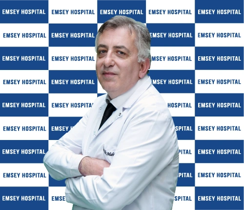 Mahmut KAYA
