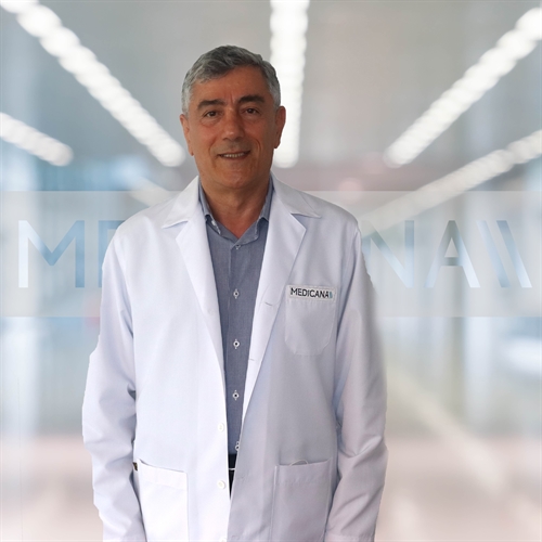 Faysal Gök