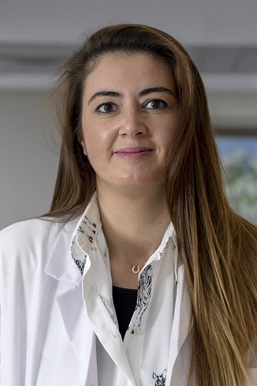 Nilsu Salih