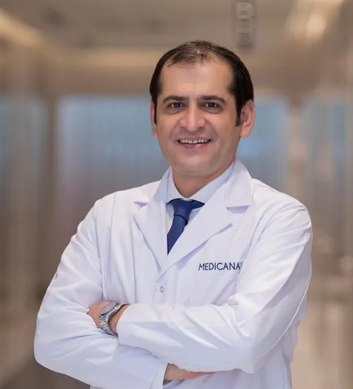 Dr. Öğr. Üyesi Mehmet Uysal