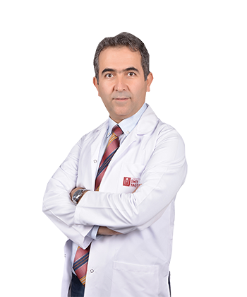 Tolga Doğan