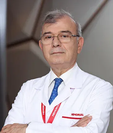Prof. Dr Ercan ABAY