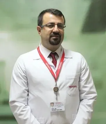 Prof. Dr. Mehmet Şah İPEK