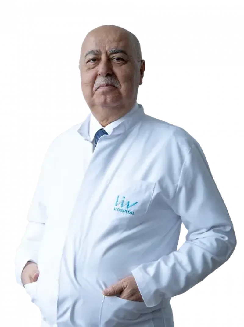 Prof. Dr. Nihat Egemen