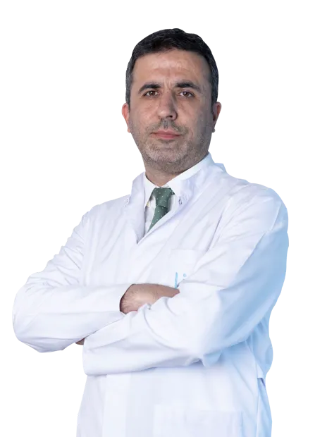 Özgür Kaya