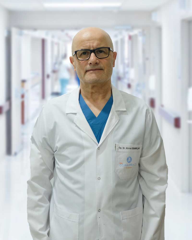 Ahmet DEMİRÇAK