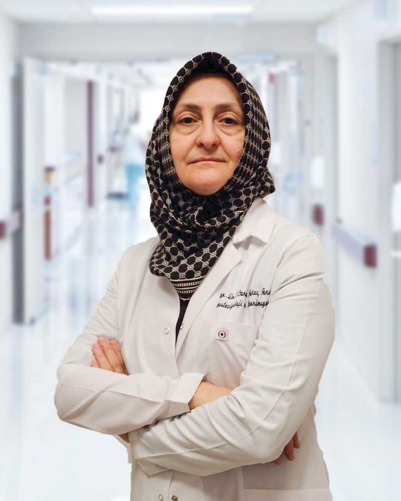 Elif Canan TOKUÇ TANIR